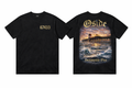 67433 Oside Pier Tee